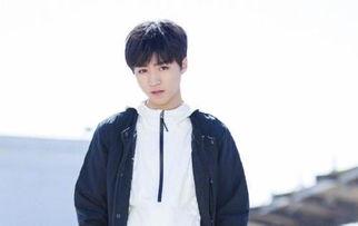 圈内人明星天涯爆料,明星天涯爆料背后的真实故事  第3张